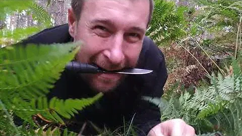 Адмирал а-ля Финка НКВД