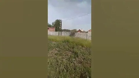 участок 21 сотка в СНТ Витязь  1