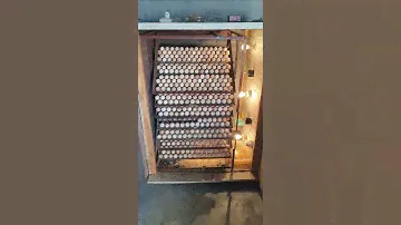 How to make Automatic Egg Incubator at Home(1400 egg capacity)