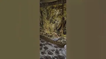 Глэмпинг. Дом. На даче.Спортбаза. Объединение. Туризм.