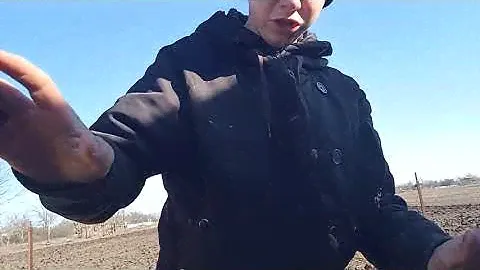 обзор бензопилы с витязь