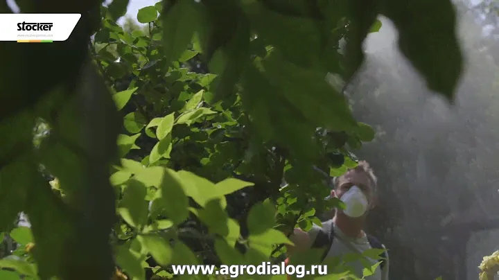 Аккумуляторный опрыскиватель Stocker 8 литров