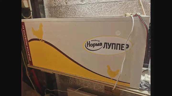 Какой купить инкубатор для яиц. Рекомендации начинающим, проверено временем!