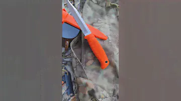 New!!! Таран оранжевый ООО ПП Кизляр KIZLYAR KNIVES #kizlyar #knife #handmade #bushcraft #blade