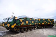 Дт-30 П витязь в Санкт-Петербурге