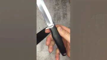 хорь 2
