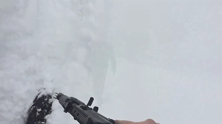 AR15 + ПП Витязь. стрельба